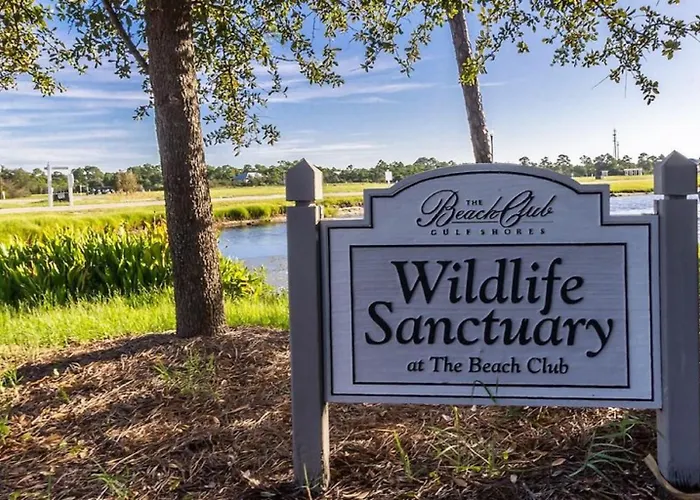 Club A1502-updated Beachfront Corner Unit Wamazing Views Apartment